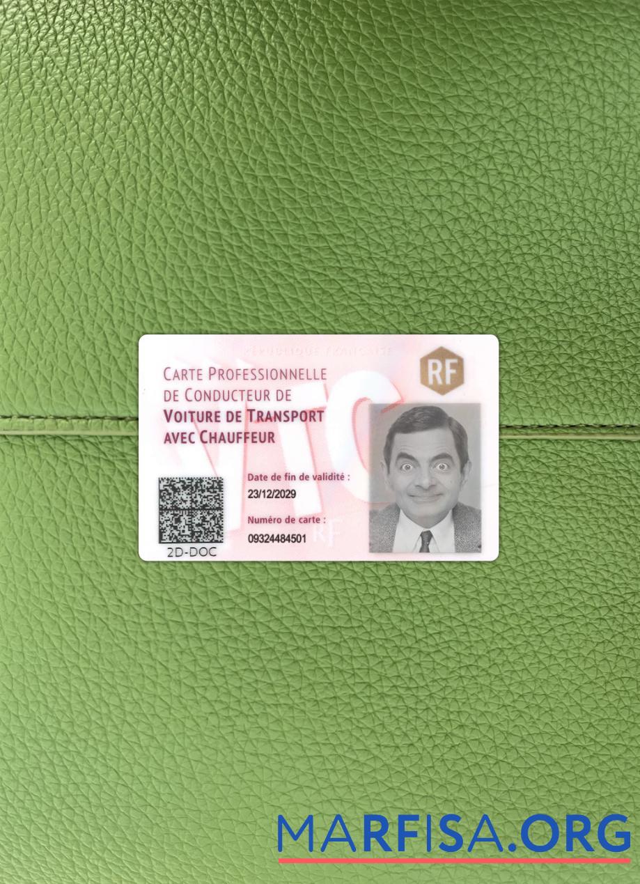 Printable France professional driver's card photolook example